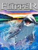 Le nuove avventure di Flipper