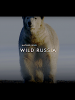 Wild Russia